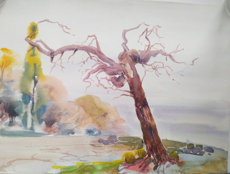 Файл:Ванизм 5.jpeg