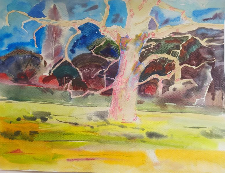 Файл:Ванизм 2.jpg